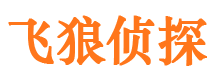 贡觉市私家侦探